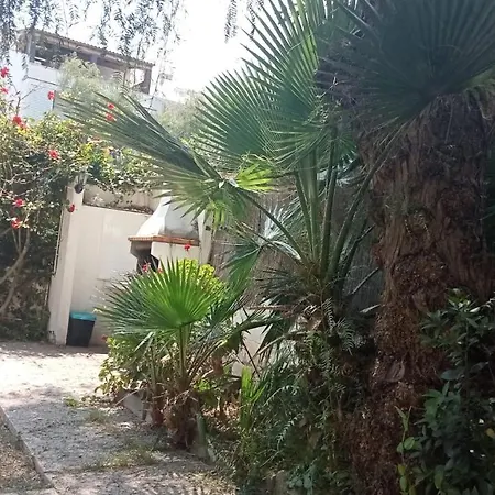 - Jardin En Playa San Sebastian *